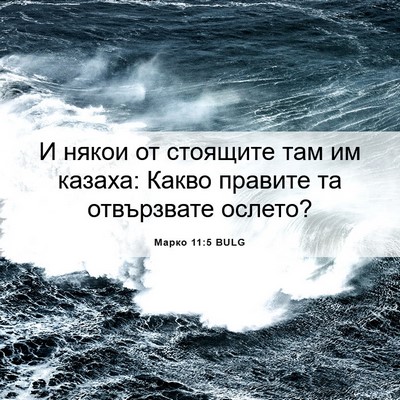Picture 06 - Марко 11:5 BULG - И някои от стоящите там им - Bible Verse Picture