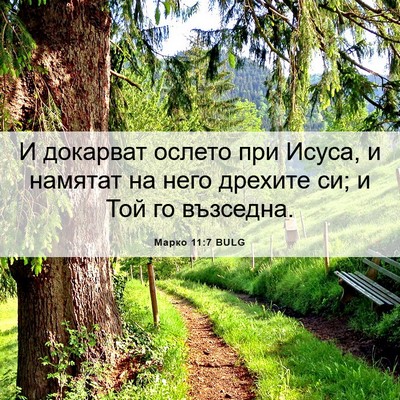 Picture 06 - Марко 11:7 BULG - И докарват ослето при - Bible Verse Picture