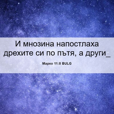 Picture 06 - Марко 11:8 BULG - И мнозина напостлаха - Bible Verse Picture