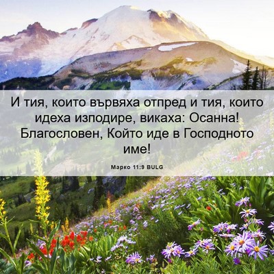 Picture 06 - Марко 11:9 BULG - И тия, които вървяха отпред - Bible Verse Picture