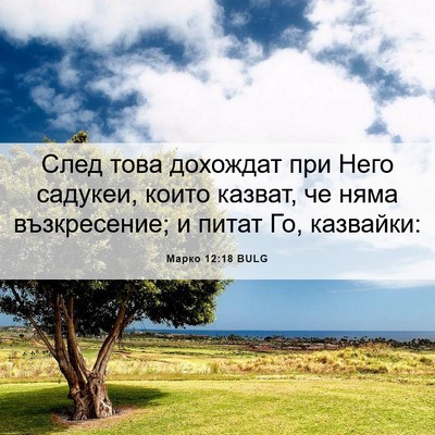Picture 06 - Марко 12:18 BULG - След това дохождат при - Bible Verse Picture
