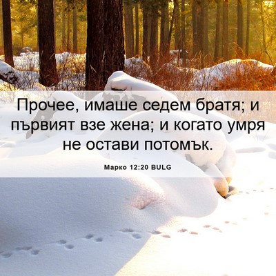 Picture 06 - Марко 12:20 BULG - Прочее, имаше седем братя; - Bible Verse Picture