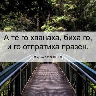 Picture 06 - Марко 12:3 BULG - А те го хванаха, биха го, и - Bible Verse Picture