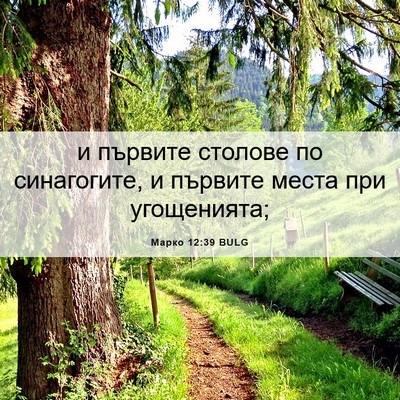 Picture 06 - Марко 12:39 BULG - и първите столове по - Bible Verse Picture