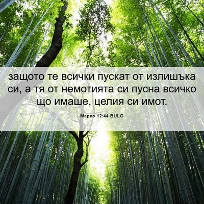 Picture 06 - Марко 12:44 BULG - защото те всички пускат от - Bible Verse Picture