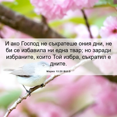 Picture 06 - Марко 13:20 BULG - И ако Господ не съкратеше - Bible Verse Picture