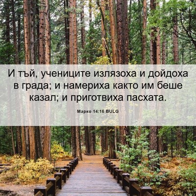 Picture 06 - Марко 14:16 BULG - И тъй, учениците излязоха и - Bible Verse Picture