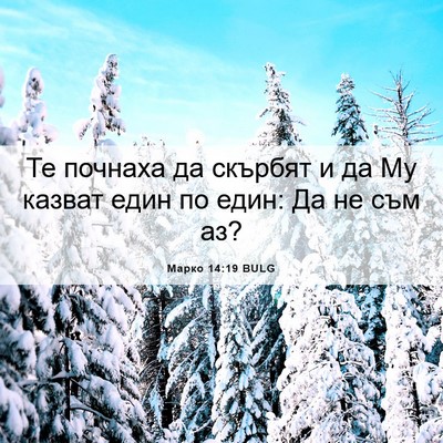 Picture 06 - Марко 14:19 BULG - Те почнаха да скърбят и да - Bible Verse Picture