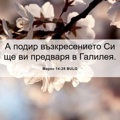 Picture 06 - Марко 14:28 BULG - А подир възкресението Си - Bible Verse Picture