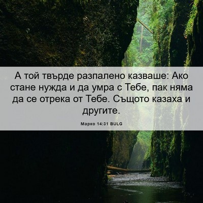 Picture 06 - Марко 14:31 BULG - А той твърде разпалено - Bible Verse Picture