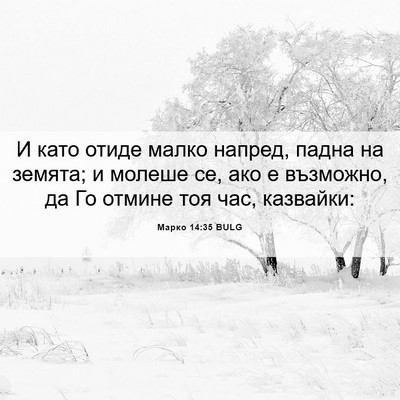 Picture 06 - Марко 14:35 BULG - И като отиде малко напред, - Bible Verse Picture