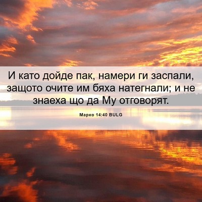 Picture 06 - Марко 14:40 BULG - И като дойде пак, намери ги - Bible Verse Picture