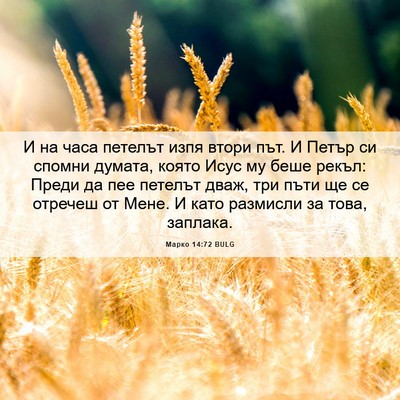 Picture 06 - Марко 14:72 BULG - И на часа петелът изпя - Bible Verse Picture