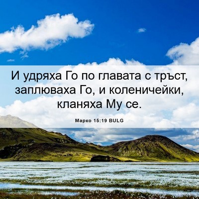 Picture 06 - Марко 15:19 BULG - И удряха Го по главата с - Bible Verse Picture