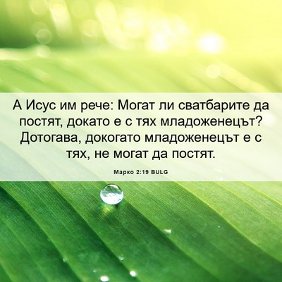 Picture 06 - Марко 2:19 BULG - А Исус им рече: Могат ли - Bible Verse Picture