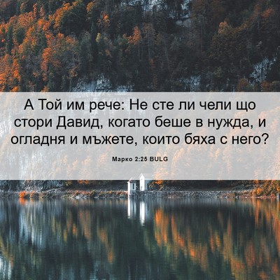 Picture 06 - Марко 2:25 BULG - А Той им рече: Не сте ли - Bible Verse Picture