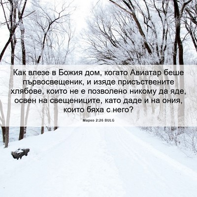 Picture 06 - Марко 2:26 BULG - Как влезе в Божия дом, - Bible Verse Picture