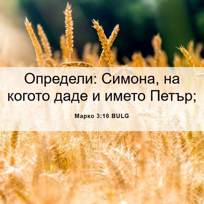 Picture 06 - Марко 3:16 BULG - Определи: Симона, на когото - Bible Verse Picture