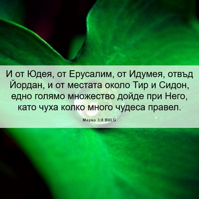 Picture 06 - Марко 3:8 BULG - И от Юдея, от Ерусалим, от - Bible Verse Picture