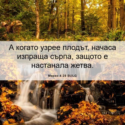 Picture 06 - Марко 4:29 BULG - А когато узрее плодът, - Bible Verse Picture