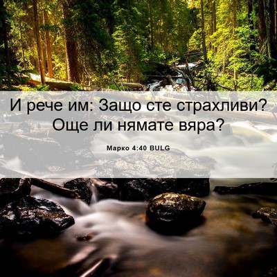 Picture 06 - Марко 4:40 BULG - И рече им: Защо сте - Bible Verse Picture