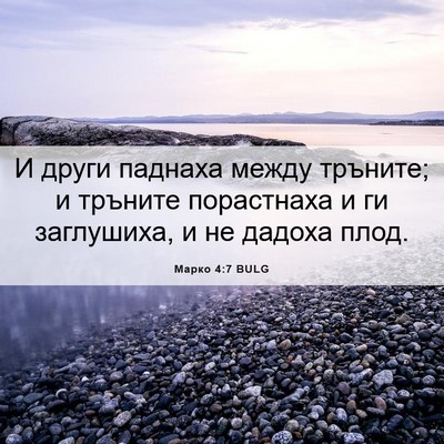 Picture 06 - Марко 4:7 BULG - И други паднаха между - Bible Verse Picture
