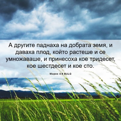 Picture 06 - Марко 4:8 BULG - А другите паднаха на - Bible Verse Picture