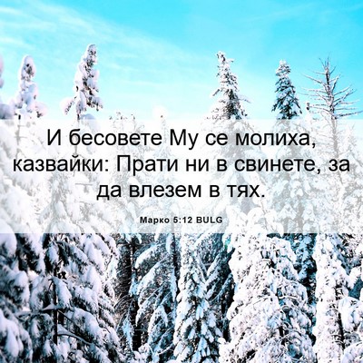 Picture 06 - Марко 5:12 BULG - И бесовете Му се молиха, - Bible Verse Picture