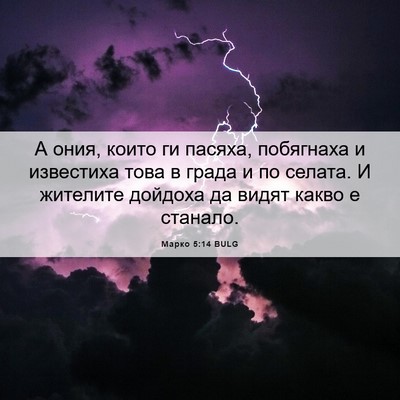 Picture 06 - Марко 5:14 BULG - А ония, които ги пасяха, - Bible Verse Picture