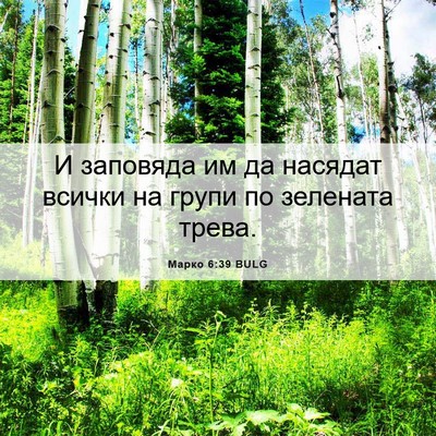 Picture 06 - Марко 6:39 BULG - И заповяда им да насядат - Bible Verse Picture