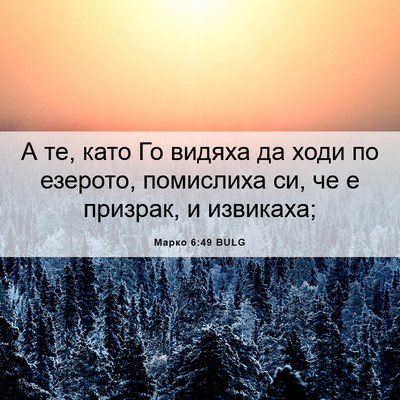 Picture 06 - Марко 6:49 BULG - А те, като Го видяха да ходи - Bible Verse Picture
