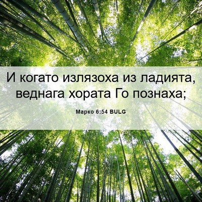 Picture 06 - Марко 6:54 BULG - И когато излязоха из - Bible Verse Picture