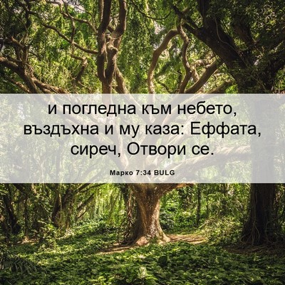 Picture 06 - Марко 7:34 BULG - и погледна към небето, - Bible Verse Picture