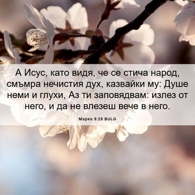Picture 06 - Марко 9:25 BULG - А Исус, като видя, че се - Bible Verse Picture