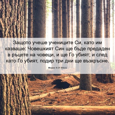 Picture 06 - Марко 9:31 BULG - Защото учеше учениците Си, - Bible Verse Picture