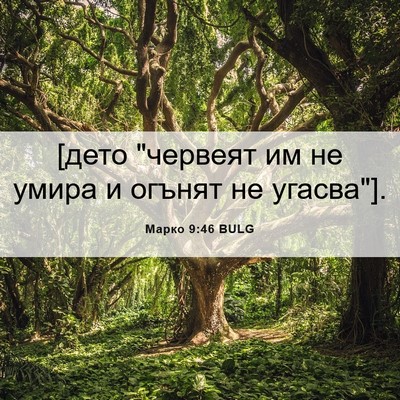 Picture 06 - Марко 9:46 BULG - [дето 