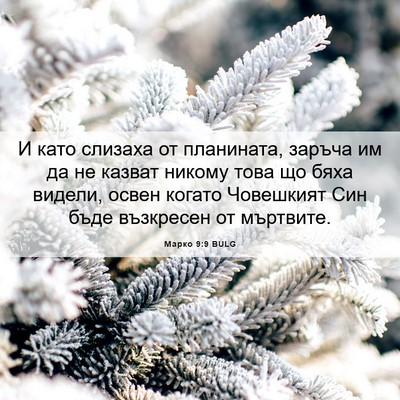 Picture 06 - Марко 9:9 BULG - И като слизаха от - Bible Verse Picture