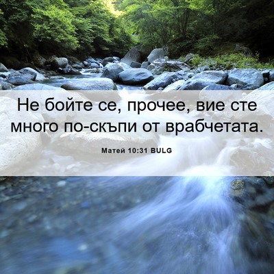 Picture 06 - Матей 10:31 BULG - Не бойте се, прочее, вие сте - Bible Verse Picture