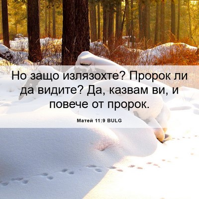Picture 06 - Матей 11:9 BULG - Но защо излязохте? Пророк - Bible Verse Picture
