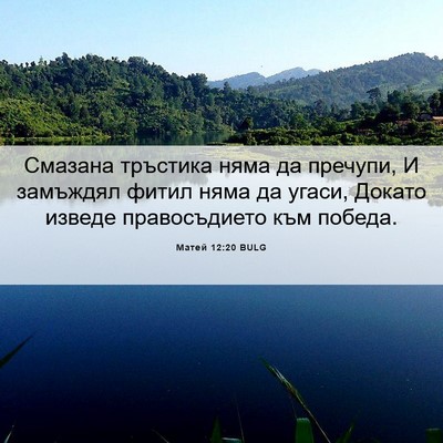 Picture 06 - Матей 12:20 BULG - Смазана тръстика няма да - Bible Verse Picture