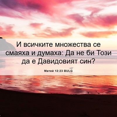 Picture 06 - Матей 12:23 BULG - И всичките множества се - Bible Verse Picture