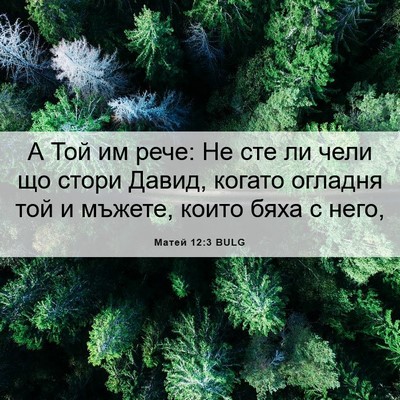 Picture 06 - Матей 12:3 BULG - А Той им рече: Не сте ли - Bible Verse Picture
