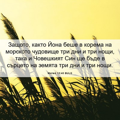 Picture 06 - Матей 12:40 BULG - Защото, както Йона беше в - Bible Verse Picture