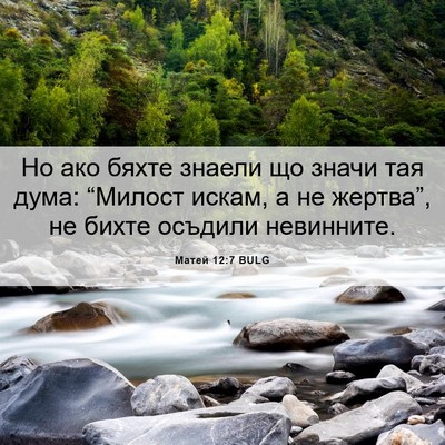 Picture 06 - Матей 12:7 BULG - Но ако бяхте знаели що - Bible Verse Picture