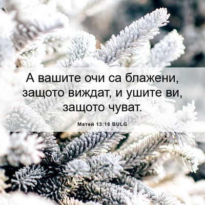 Picture 06 - Матей 13:16 BULG - А вашите очи са блажени, - Bible Verse Picture