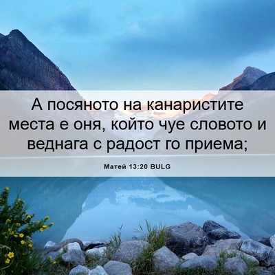 Picture 06 - Матей 13:20 BULG - А посяното на канаристите - Bible Verse Picture