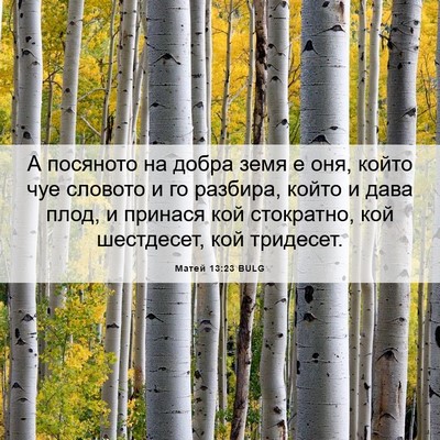 Picture 06 - Матей 13:23 BULG - А посяното на добра земя е - Bible Verse Picture