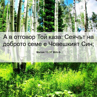 Picture 06 - Матей 13:37 BULG - А в отговор Той каза: - Bible Verse Picture