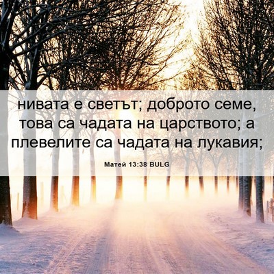 Picture 06 - Матей 13:38 BULG - нивата е светът; доброто - Bible Verse Picture
