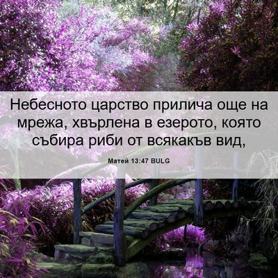Picture 06 - Матей 13:47 BULG - Небесното царство прилича - Bible Verse Picture